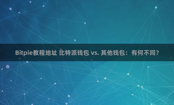 Bitpie教程地址 比特派钱包 vs. 其他钱包：有何不同？