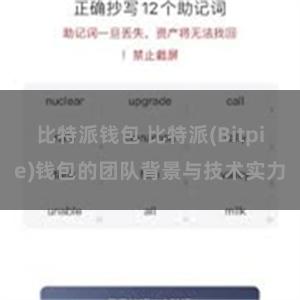 比特派钱包 比特派(Bitpie)钱包的团队背景与技术实力