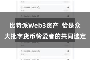 比特派Web3资产  恰是众大批字货币怜爱者的共同选定