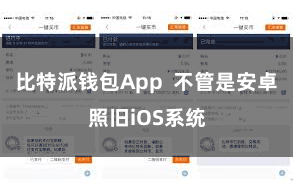 比特派钱包App  不管是安卓照旧iOS系统