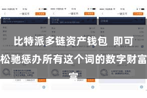 比特派多链资产钱包  即可松驰惩办所有这个词的数字财富